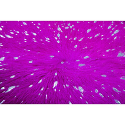 Avis Paris Prix Tapis Peau de Vache Glam Violet & Argent Entre 1,35 et 1,65 m2