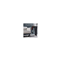 Avis Rowenta X-Force Flex 13.60 RH9A93WO - Rouge