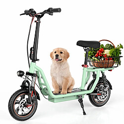 Trottinette électrique iScooter i12 12" 500W