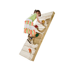 JARDIéco Set de 5 pierres à grimper multicolor - Jardideco