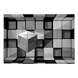 Paris Prix Papier Peint Cube in Gray 245 x 350 cm