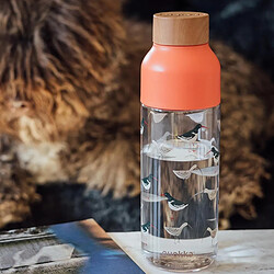 Avis Quokka Bouteille d'eau Design Oiseaux Bouchon Bambou 720ml en Ecozen Orange