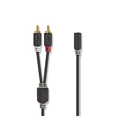 Nedis Câble Audio Double RCA Mâle vers Jack 3.5mm Femelle 0,2m Gris anthracite