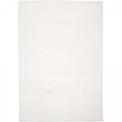 UnAmourDeTapis Tapis salon 160 x 230 cm blanc uni ultra doux et lavable LYN50, design chaleureux
