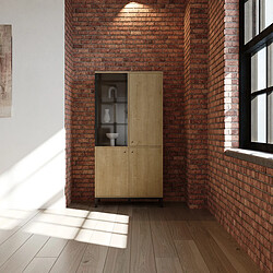 Bibliothèque & vitrine