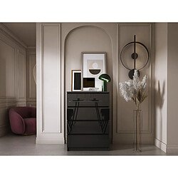 Avis 3XELIVING Commode 4 Tiroirs, Noir Mat / Noir Brillant, 70 x 39 x 101 cm