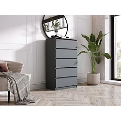 3XELIVING Commode 5 Tiroirs, Anthracite, 70 x 39 x 125 cm