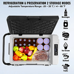 Avis Vevor Réfrigérateur 60L 12V, roulettes, zone unique, -20/20°C, camping extérieur