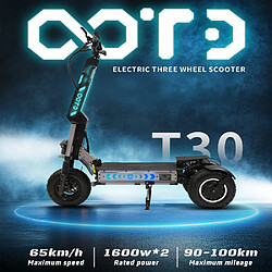Avis Trottinette électrique Pliable OOTD T30 13 inch Avec Siège