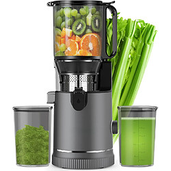 Vendos85 Extracteur de Jus Lent 400 W Grande Goulotte