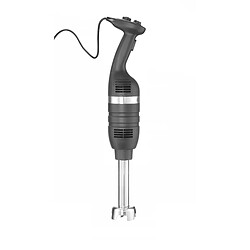 Mixeur Plongeur 350W - Vitesse Variable - Pied 250 mm - Ø100 - Hendi pas cher