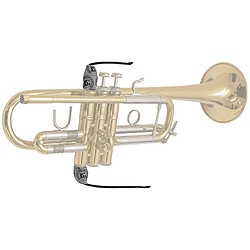 Avis A31T2 Écouvillon trompette pour chambre des pistons BG