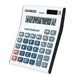 Acheter Avizar Calculatrice Électronique 12 Chiffres avec Mémoire et Écran Blanc