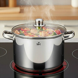 Avizar Faitout 24cm 9L Inoxydable avec Couvercle en Verre Compatible Tous Feux Argent