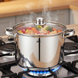 Avizar Faitout 22cm 7.2L Inoxydable avec Couvercle en Verre Compatible Tous Feux Argent