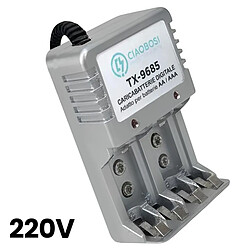 Acheter Avizar Chargeur de Piles Numérique AA et AAA 4 Canaux Prise 220V AC 150mA Gris