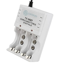 Avizar Chargeur de Piles Numérique AA et AAA 4 Canaux Prise 220V AC 130mA Gris