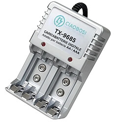 Avizar Chargeur de Piles Numérique AA et AAA 4 Canaux Prise 220V AC 150mA Gris