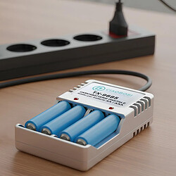 Avis Avizar Chargeur de Piles Numérique AA et AAA 4 Canaux Prise 220V AC 150mA Gris