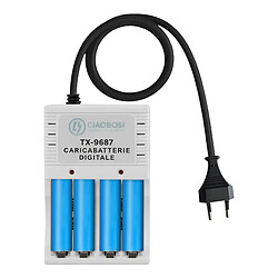 Avizar Chargeur de Piles Numérique AA et AAA 4 Canaux Prise 220V AC 130mA Gris