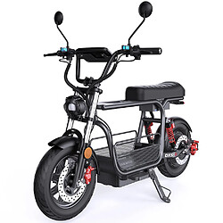 Trottinette Électrique iScooter DX5 1500W Batterie 48V 15,6Ah 55 km/h Autonomie 72 km