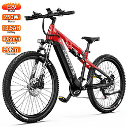 Vélo électrique DUOTTS E29 250W 40Km/h Suspension intégrale