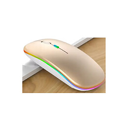 Souris sans Fil Bluetooth/USB, 2,4G, Ergonomique, 7 Couleurs Rétro-éclairées RVB, Rechargeable