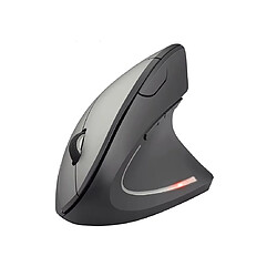Souris Ergonomique Verticale sans Fil, 6 Touches, Récepteur USB, 1600 DPI