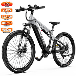 Vélo électrique DUOTTS E29 27.5" 250W Gris