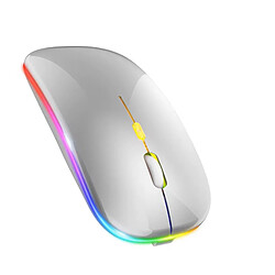 Souris sans Fil Bluetooth/USB, 2,4G, Ergonomique, 7 Couleurs Rétro-éclairées RVB, Rechargeable