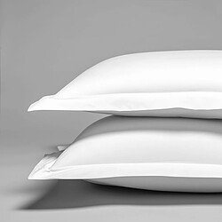 Cotton & Co Taie d'oreiller en satin de coton égyptien 240 fils