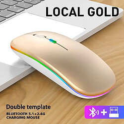 Souris sans Fil Bluetooth/USB, 2,4G, Ergonomique, 7 Couleurs Rétro-éclairées RVB, Rechargeable
