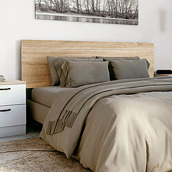 Pegane Tête de lit pour lit de 135 et 150 cm coloris Cambrian - Longueur 158 x Hauteur 40 x Profondeur 1,5 cm