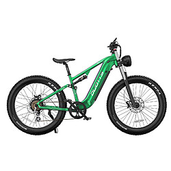 Avis Vélo électrique DUOTTS N26 26" 48V 20AH