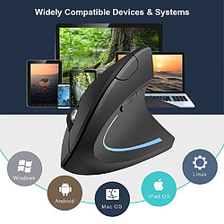 Souris Ergonomique Verticale sans Fil, 6 Touches, Récepteur USB, 1600 DPI