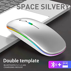 Souris sans Fil Bluetooth/USB, 2,4G, Ergonomique, 7 Couleurs Rétro-éclairées RVB, Rechargeable