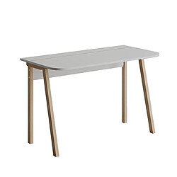 Pegane Bureau Table d'odinateur Table de travail coloris Blanc - Hauteur 75 x Longueur 120 x Profondeur 60 cm