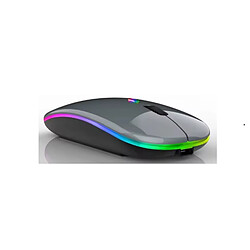 Souris sans Fil Bluetooth/USB, 2,4G, Ergonomique, 7 Couleurs Rétro-éclairées RVB, Rechargeable