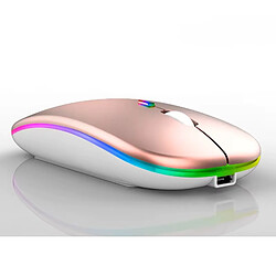 Souris sans Fil Bluetooth/USB, 2,4G, Ergonomique, 7 Couleurs Rétro-éclairées RVB, Rechargeable
