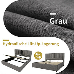 Acheter Blossom Paris Lit capitonné 160x200 cm double avec porte-gobelet caché et station de charge, lit hydraulique avec rangement sous le lit, lattes, lin gris