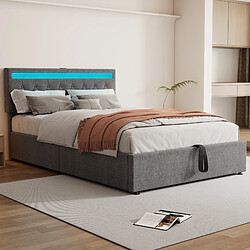 Acheter Blossom Paris 140*200 cm lit plat, lit capitonné, lumière ambiante au lit, lit peut être levé et abaissé, prise USB et Type-C au lit, grand rangement, gris