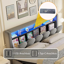 Blossom Paris Lit capitonné 180x200, fonction rangement hydraulique et tête avec rangement, double, velours, ports USB/Type-C, LED, design pétale, gris pas cher