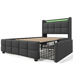 Acheter Blossom Paris Lit capitonné avec USB et LED dans la tête, 2 tiroirs, lit simple 90x200cm avec rangement, cadre avec lattes bois, gris