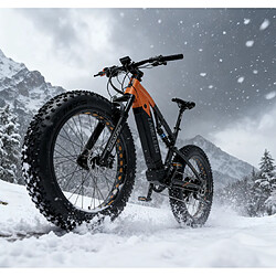 Acheter Vélo électrique - LANKELEISI RV800- Autonomie 150km - Bafang Moteur 750W - SUMSUNG batterie 48V 20Ah - Vitesse 52 km/h VTT