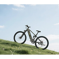 Acheter Vélo électrique - LANKELEISI RX600 Pro - Moteur 650W (Pic) - Batterie SUMSUNG 48V20Ah - Autonomie 120km - Freins Hydrauliques