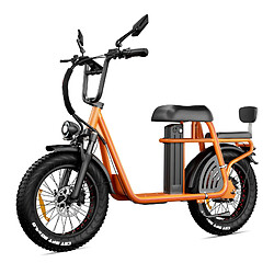 DrVetion ET20 adulte Vélo Electrique - Moteur 1000W - Batterie Samsung 15 Ah - Autonomie 100km - vitesse max 50 km/h - NFC