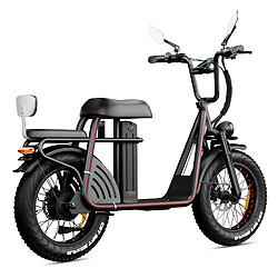 Acheter DrVetion ET20 adulte Vélo Electrique - Moteur 1000W - Batterie Samsung 15 Ah - Autonomie 100km - vitesse max 50 km/h - NFC