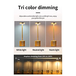 Lampe Led à poser en Métal, Intensité Variable Tactile, Rechargeable pas cher