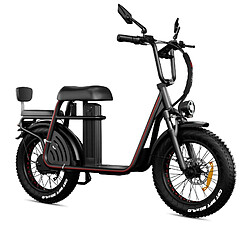 Avis DrVetion ET20 adulte Vélo Electrique - Moteur 1000W - Batterie Samsung 15 Ah - Autonomie 100km - vitesse max 50 km/h - NFC