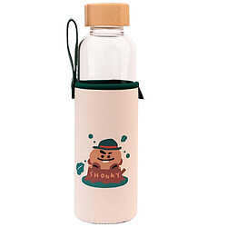 Line Friends BT21 Gourde en Verre 500ml Réutilisable Motif SHOOKY avec Étui Blanc / Vert